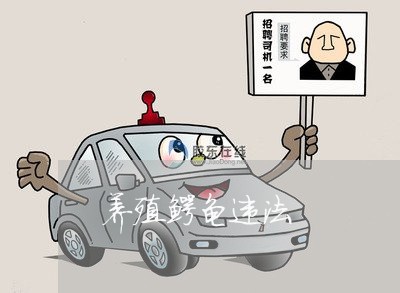 养殖鳄龟违法