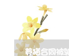 养猫合同被骗怎么写证明/2023041164936 养猫合同被骗怎么写证明/2023041164936