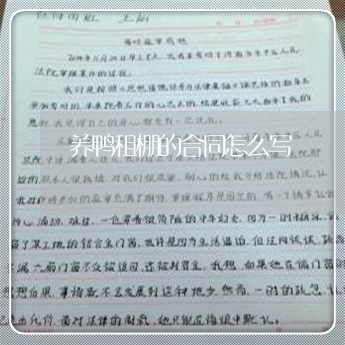 养鸭租棚的合同怎么写/2023030100704