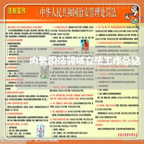 内务司法领域立法工作总结