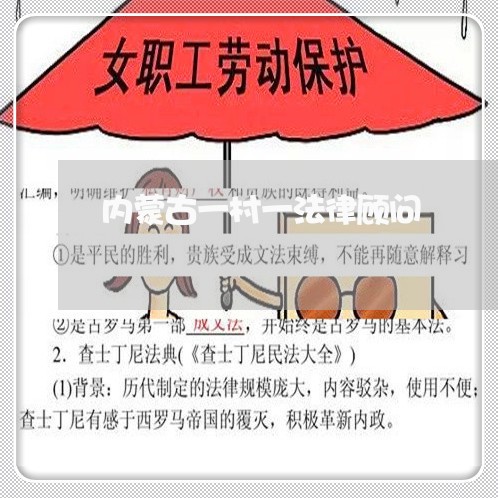 内蒙古一村一法律顾问