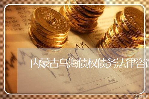 内蒙古乌海债权债务法律咨询