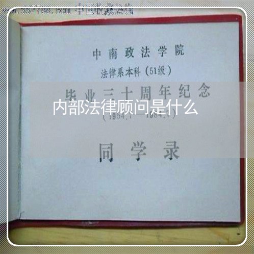 内部法律顾问是什么/2023061712716 内部法律顾问是什么/2023061712716