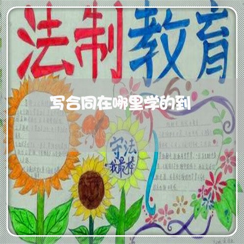 写合同在哪里学的到/2023041435148