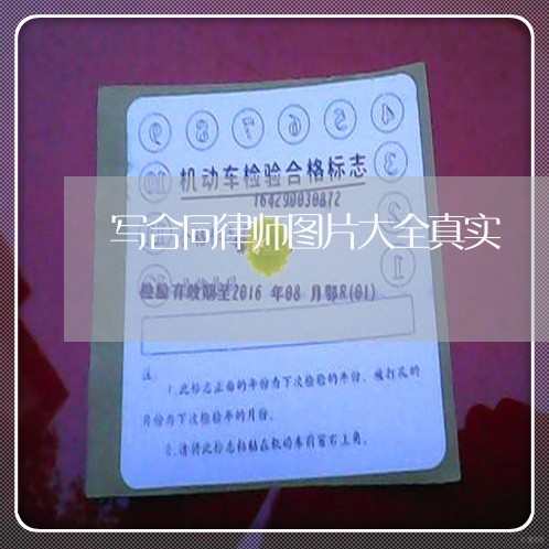 写合同律师图片大全真实/2023040221585