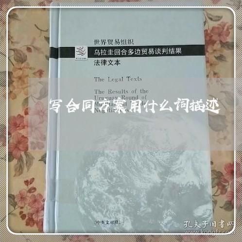 写合同方案用什么词描述/2023041306049
