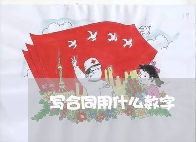 写合同用什么数字 写合同用什么数字