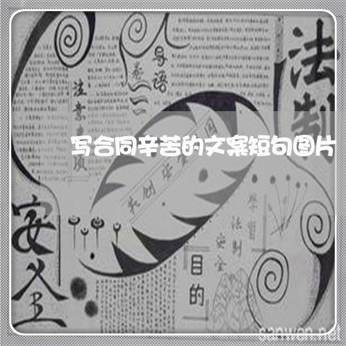 写合同辛苦的文案短句图片/2023022671614