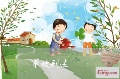 军嫂刑法