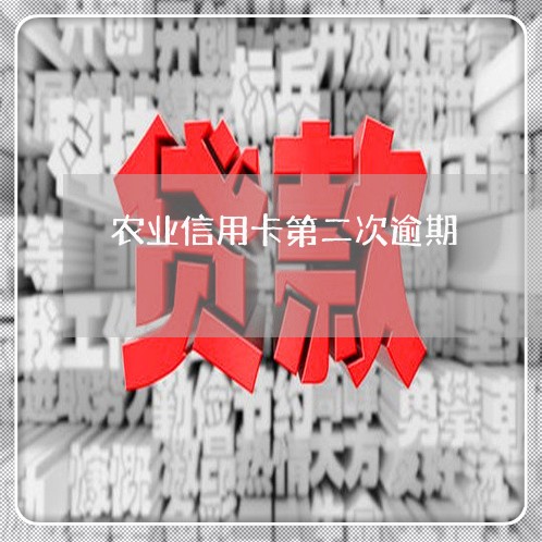 农业信用卡第二次逾期/2023061704825