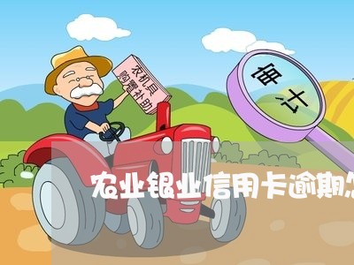 农业银业信用卡逾期怎么办