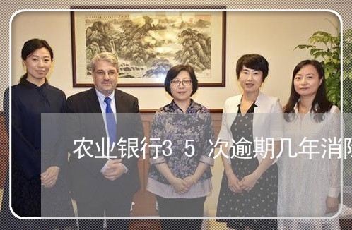 农业银行35次逾期几年消除