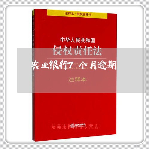 农业银行7个月逾期/2023020795047