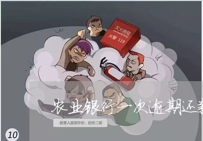 农业银行一次逾期还款 农业银行一次逾期还款