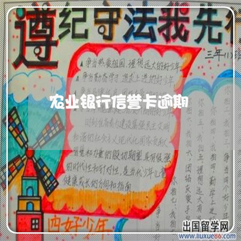 农业银行信誉卡逾期/2023020718473