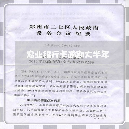农业银行卡逾期大半年