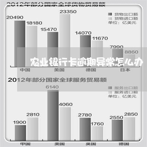 农业银行卡逾期异常怎么办/2023011707240