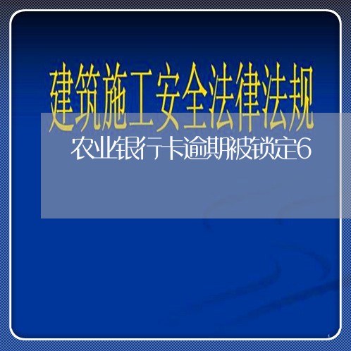 农业银行卡逾期被锁定6 农业银行卡逾期被锁定6