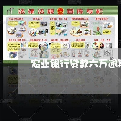 农业银行贷款六万逾期
