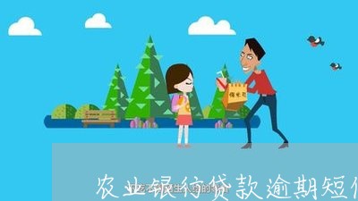 农业银行贷款逾期短信提醒/2023100661381