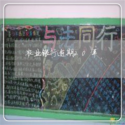 农业银行逾期20年 农业银行逾期20年