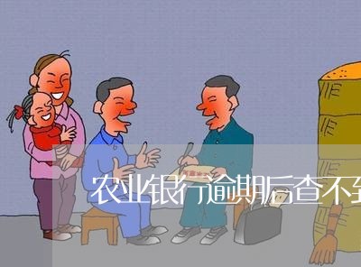 农业银行逾期后查不到额度