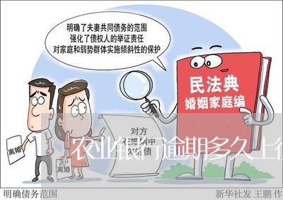 农业银行逾期多久上征信/2023022769561