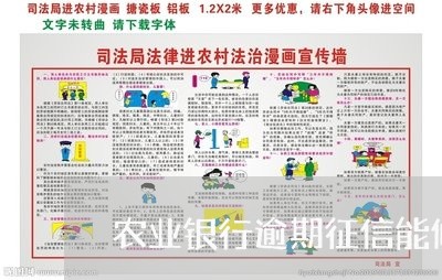 农业银行逾期征信能修改/2023042494260