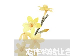 农作物转让合同怎么写/2023022762581