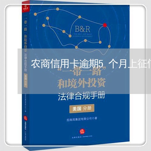 农商信用卡逾期5个月上征信吗/2023041965948