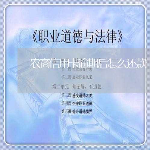 农商信用卡逾期后怎么还款/2023041781706