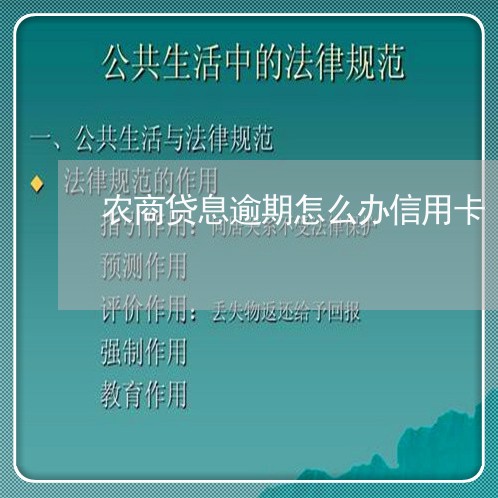 农商贷息逾期怎么办信用卡/2023032485627