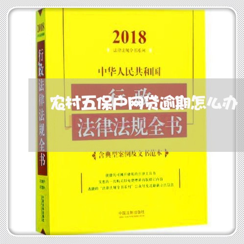 农村五保户网贷逾期怎么办/2023060843947