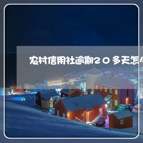 农村信用社逾期20多天怎么还款