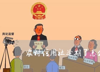 农村信用社逾期了怎么还 农村信用社逾期了怎么还