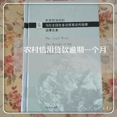 农村信用贷款逾期一个月 农村信用贷款逾期一个月