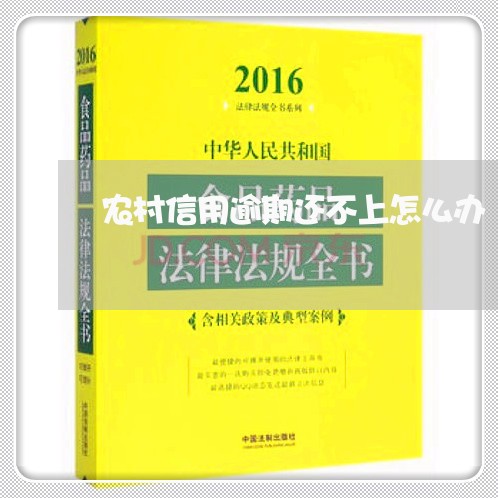 农村信用逾期还不上怎么办/2023060495825