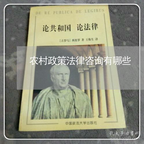 农村政策法律咨询有哪些