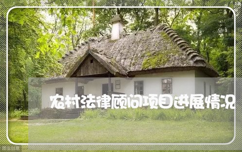 农村法律顾问项目进展情况/2023061866271