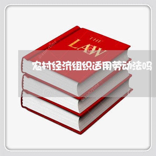 农村经济组织适用劳动法吗