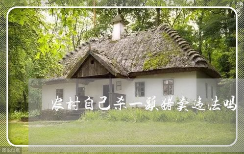 农村自己杀一头猪卖违法吗