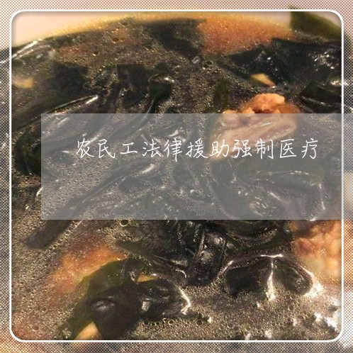 农民工法律援助强制医疗
