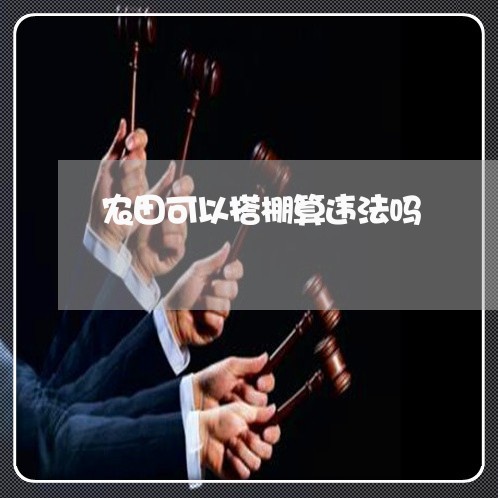 农田可以搭棚算违法吗 农田可以搭棚算违法吗
