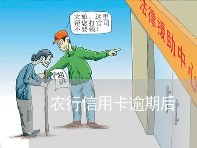 农行信用卡逾期后/2023020420692 农行信用卡逾期后/2023020420692
