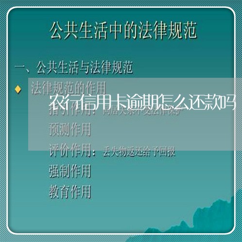 农行信用卡逾期怎么还款吗/2023041804046