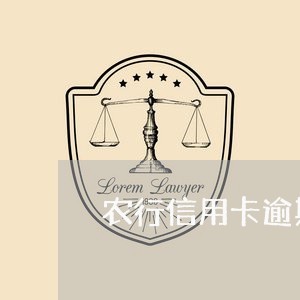 农行信用卡逾期欠款/2023031583048