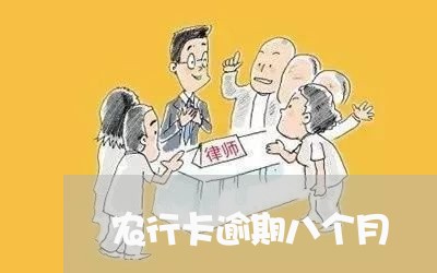 农行卡逾期八个月