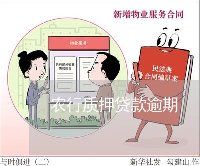 农行质押贷款逾期 农行质押贷款逾期