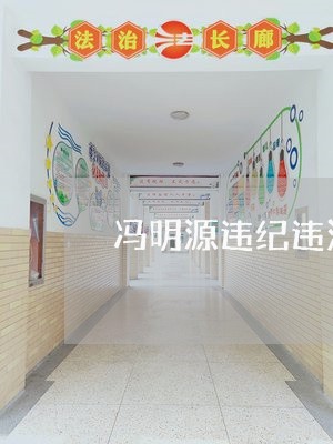 冯明源违纪违法案件进展