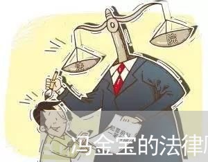 冯金宝的法律顾问